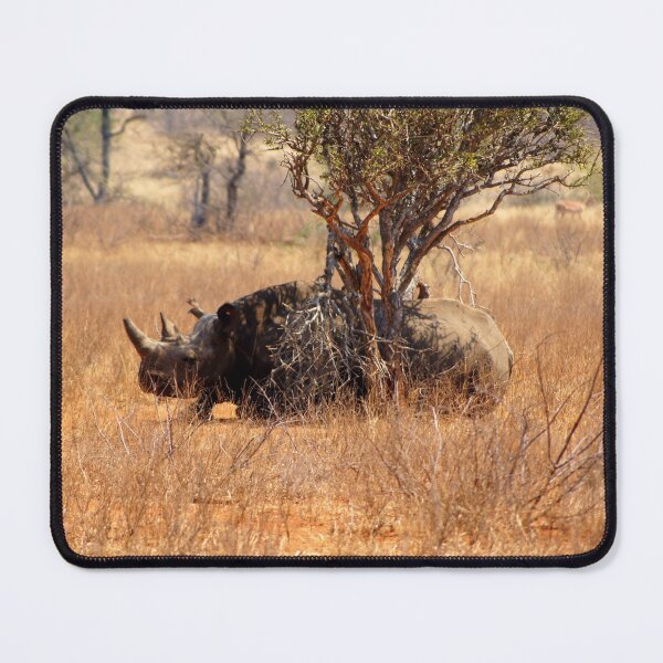 Item preview, On a Hot Summers Day - kindly donated by Xenia Capton - Volunteer designed and sold by pennies4eles.