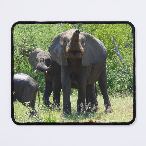 Item preview, 'Hmm.....Friend Or Foe' designed and sold by pennies4eles.