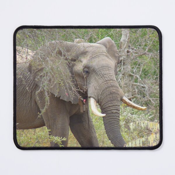 Item preview, 'Soshangane' designed and sold by pennies4eles.