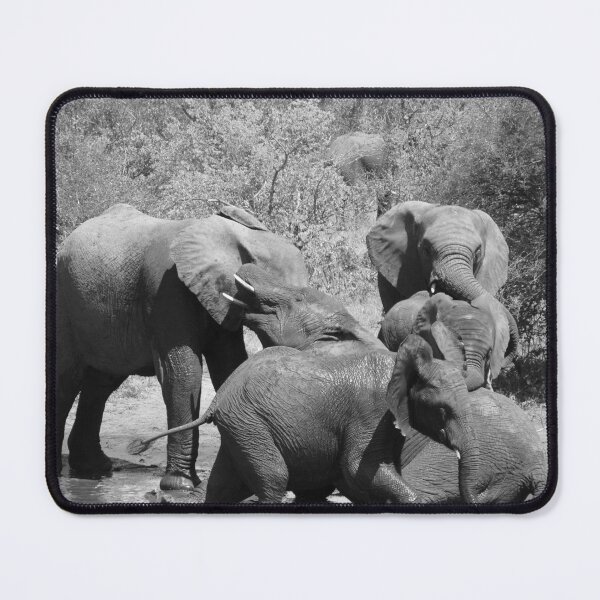 Item preview, 'Fun Times' designed and sold by pennies4eles.