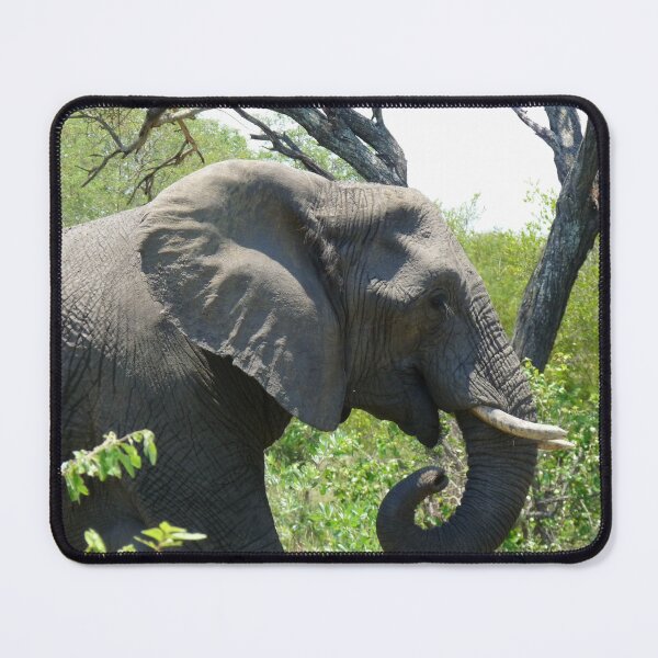 Item preview, 'Smile And The World Smiles With You' designed and sold by pennies4eles.