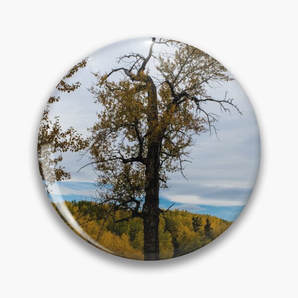 Item preview, Gnarly tree in fall designed and sold by CanadianWild418.