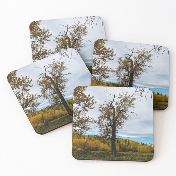 Item preview, Gnarly tree in fall designed and sold by CanadianWild418.