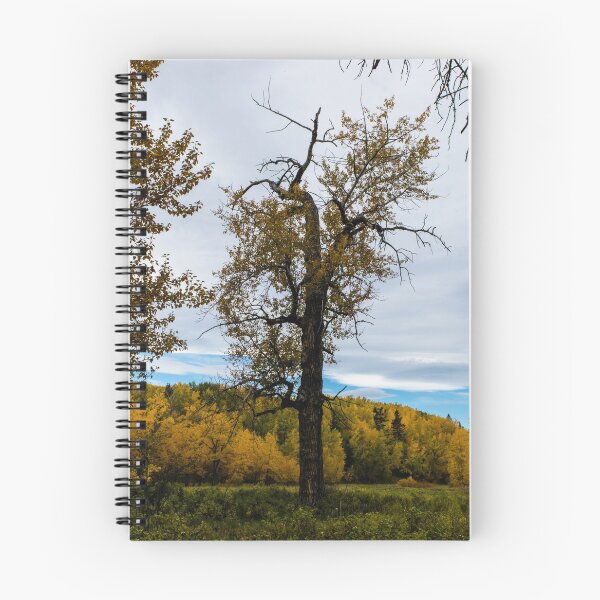 Item preview, Gnarly tree in fall designed and sold by CanadianWild418.