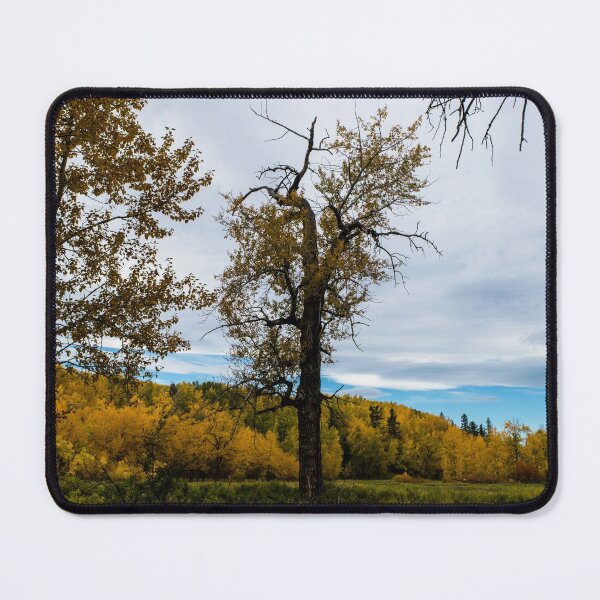 Item preview, Gnarly tree in fall designed and sold by CanadianWild418.