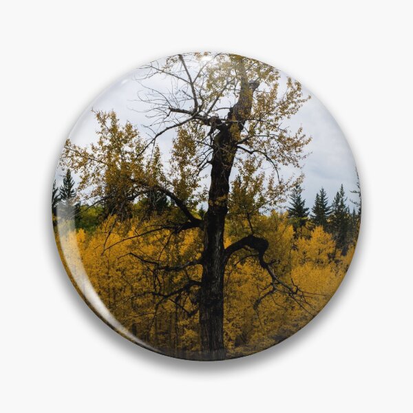Item preview, Gnarled fall tree designed and sold by CanadianWild418.
