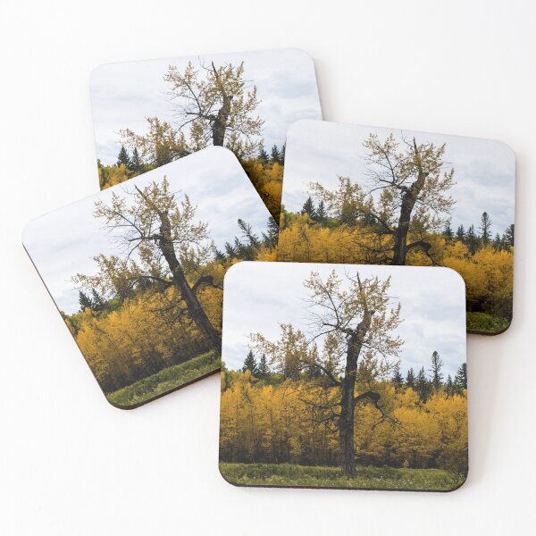 Item preview, Gnarled fall tree designed and sold by CanadianWild418.