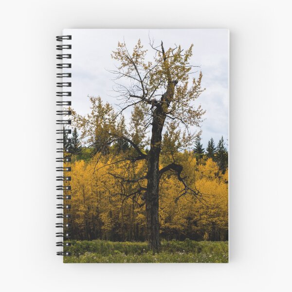 Item preview, Gnarled fall tree designed and sold by CanadianWild418.