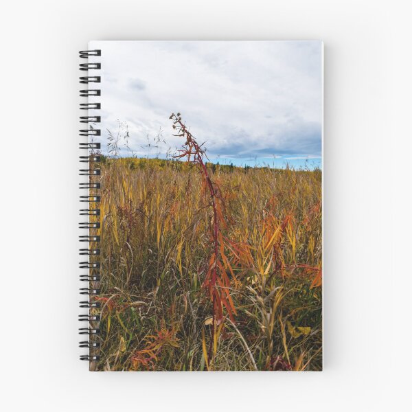 Item preview, Grasses in fall designed and sold by CanadianWild418.