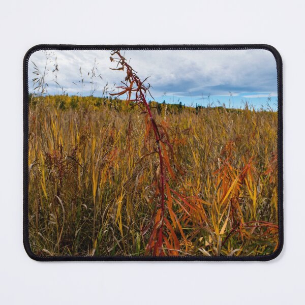 Item preview, Grasses in fall designed and sold by CanadianWild418.