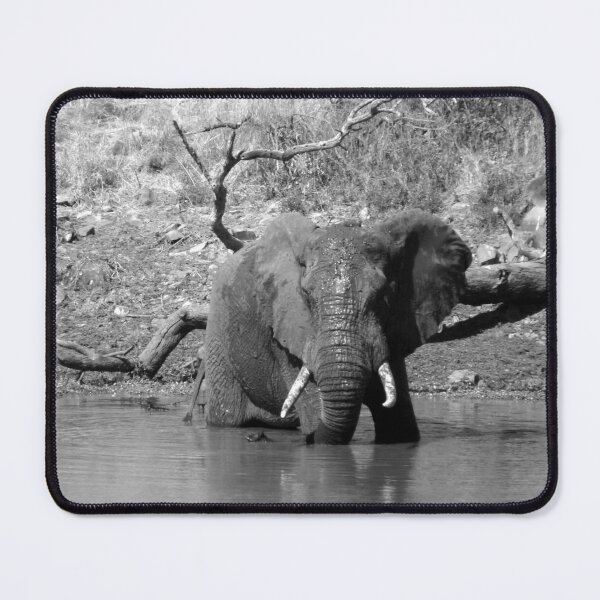Item preview, Beautiful Bull Ele in Balule designed and sold by pennies4eles.