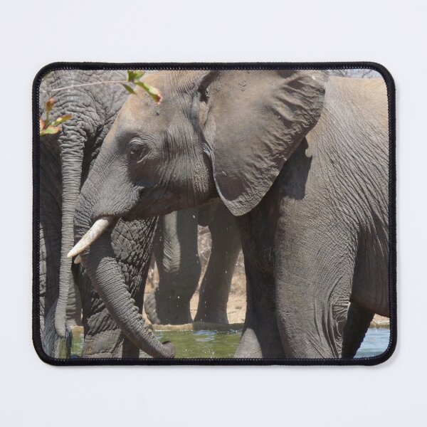 Item preview, 'A Beautiful Baby in Grey' - Balule, South Africa designed and sold by pennies4eles.