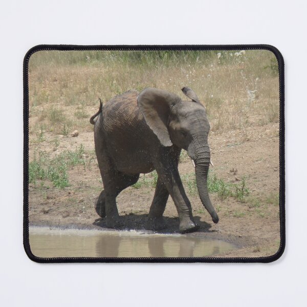 Item preview, 'I'm So Excited, I Just Can't Hide It.......' - Timbavati, South Africa designed and sold by pennies4eles.