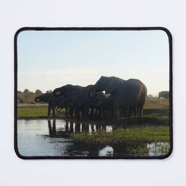 Item preview, 'Just Chilling......' - Chobe, Botswana designed and sold by pennies4eles.