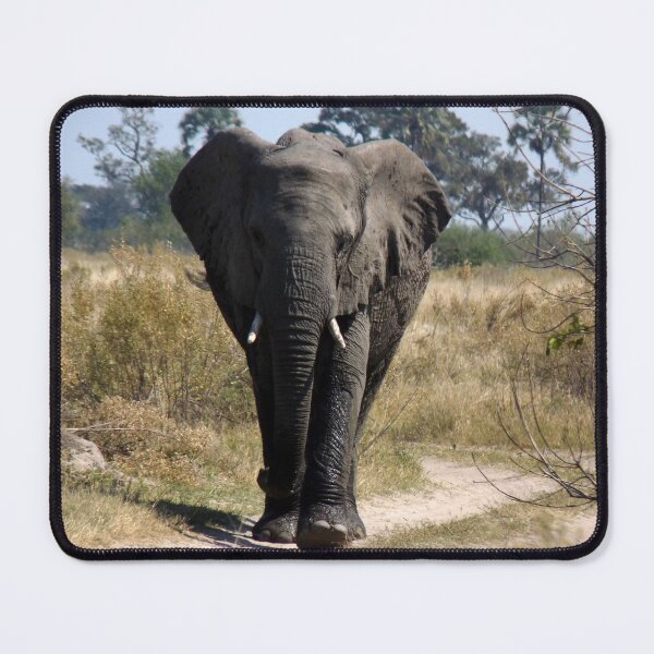 Item preview, Coming through...! designed and sold by pennies4eles.