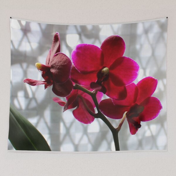 Item preview, What Light Through Yonder Orchid... designed and sold by Michael May.