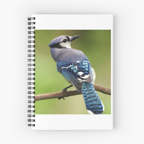 Item preview, Blue Bird  designed and sold by KauriMountain.