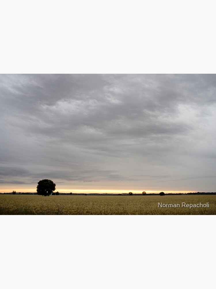 Last light of Sunset - Parkes - NSW - Australia by keystone
