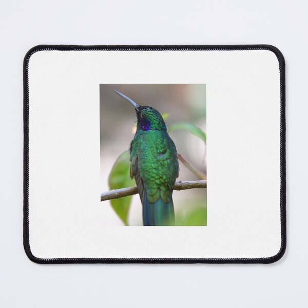 Item preview, Green Hummingbird  designed and sold by KauriMountain.