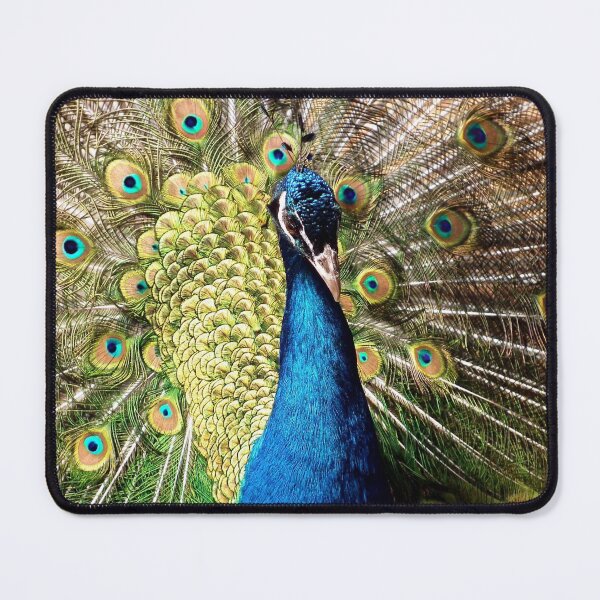 Item preview, Beautiful Peacock designed and sold by KauriMountain.
