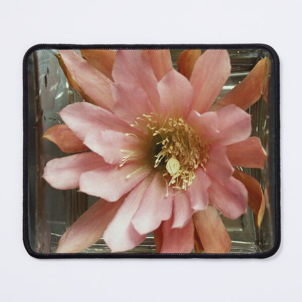 Item preview, Crampin' My Style designed and sold by Michael May.