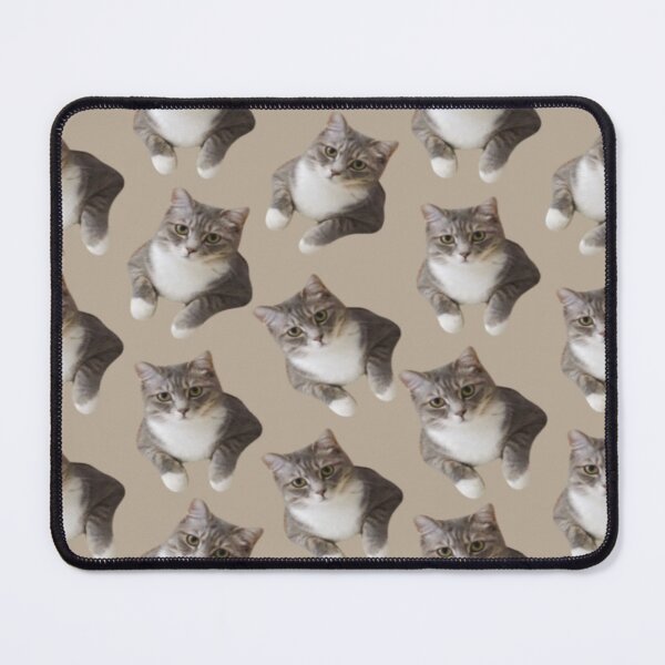 Item preview, 1980s cute beige tan american wirehair cat  designed and sold by LEILA ART SPACE.