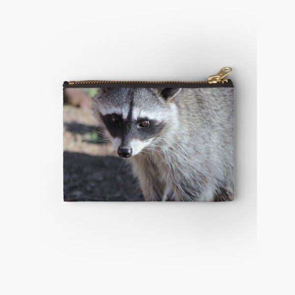 Item preview, Raccoon  (Procyon lotor) designed and sold by Jazzy724.