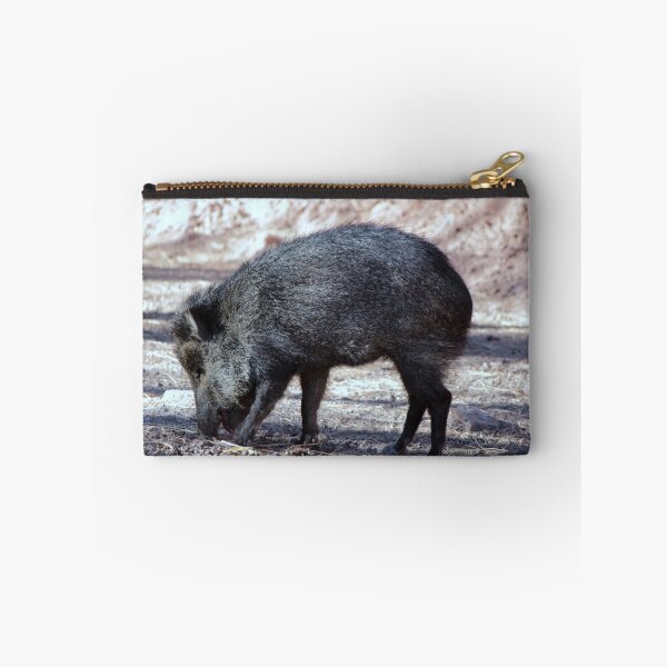 Item preview, Peccary aka Javelina aka Skunk Pig designed and sold by Jazzy724.