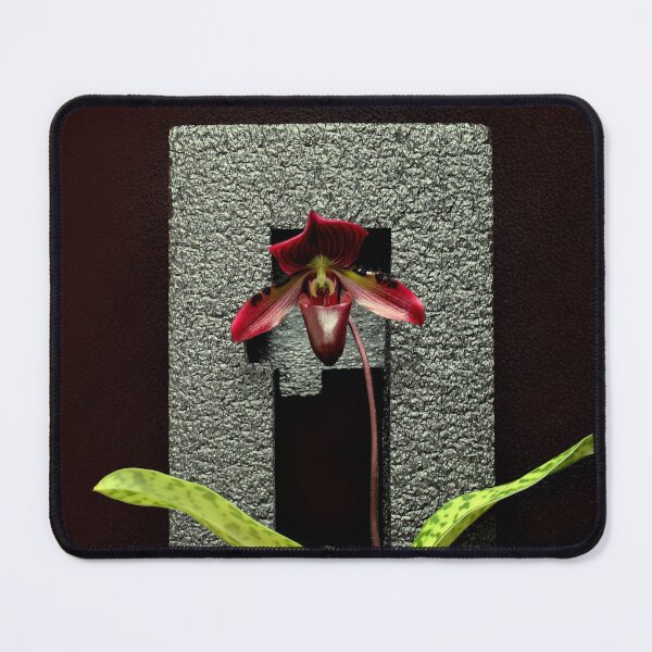Item preview, Packing Plant designed and sold by Michael May.