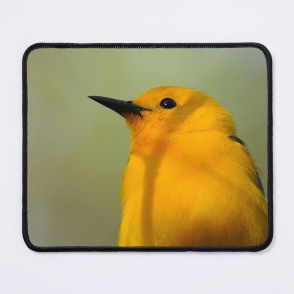 Item preview, Little Yellow Bird designed and sold by KauriMountain.