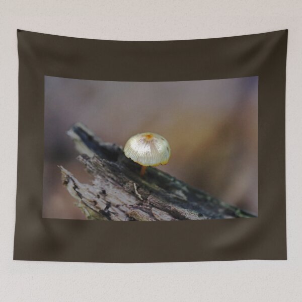 Item preview, Tiny Schroom In Log designed and sold by Deb Oppermann.