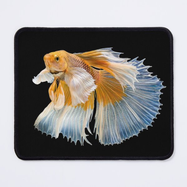 Item preview, Betta Fighting Fish - For All Betta Splendens Lovers designed and sold by AquariumExp.
