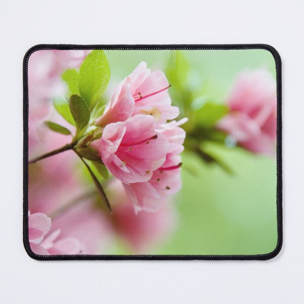 Item preview, Pink Azalea Flowers designed and sold by Leslie Banks.