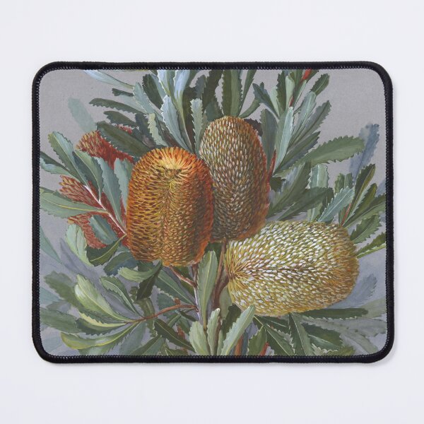 Item preview, Banksia Australian Wildflower Watercolor designed and sold by karwilberevivalcollection.