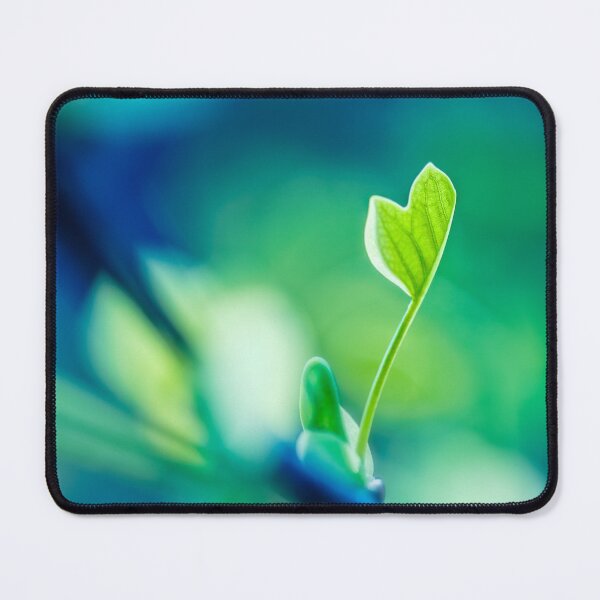 Item preview, Tulip Poplar Leaves designed and sold by Leslie Banks.