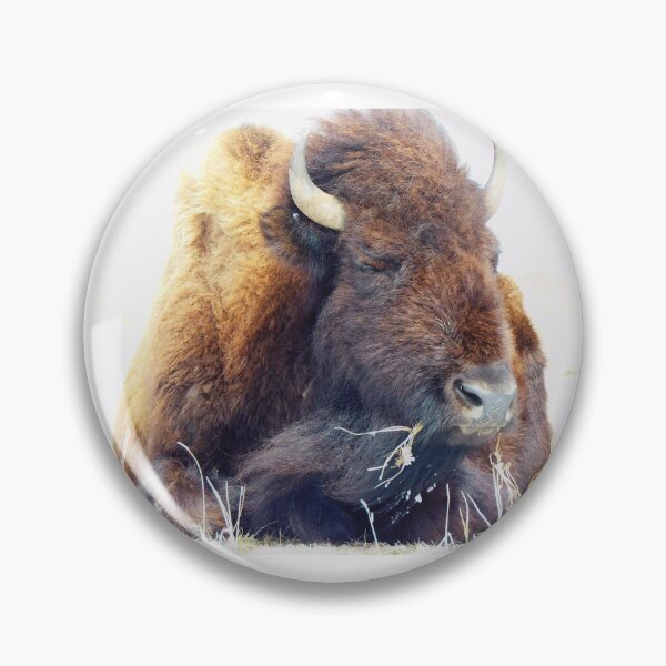 Item preview, My Bison, 1 Resting Warrior designed and sold by OneEagleRider.