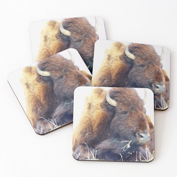 Item preview, My Bison, 1 Resting Warrior designed and sold by OneEagleRider.