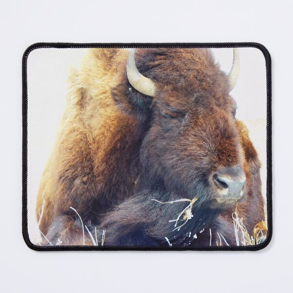 Item preview, My Bison, 1 Resting Warrior designed and sold by OneEagleRider.