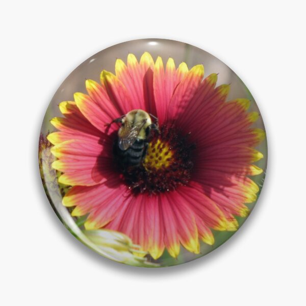 Item preview, My Future designed and sold by Jean Gregory Evans.