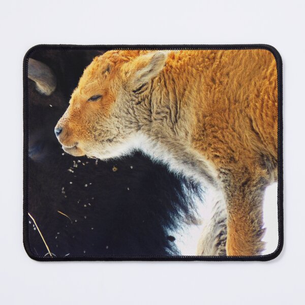 Item preview, My Bison, 2 Mother and Baby designed and sold by OneEagleRider.