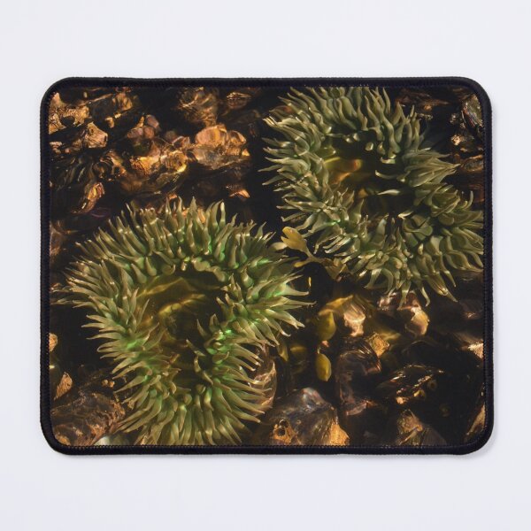 Item preview, Pacific Northwest Giant Green Anemone designed and sold by Dorples.