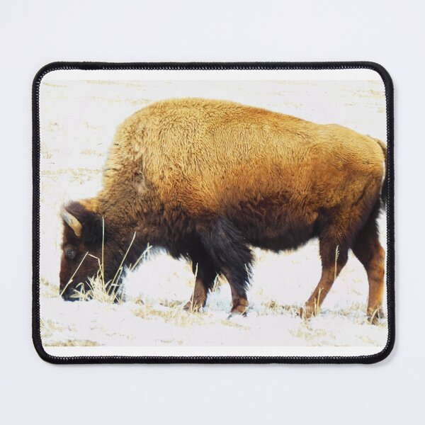 Item preview, My Bison, 3 Time To Eat designed and sold by OneEagleRider.