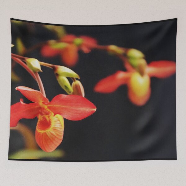 Item preview, The Andean Fire Dance designed and sold by Michael May.
