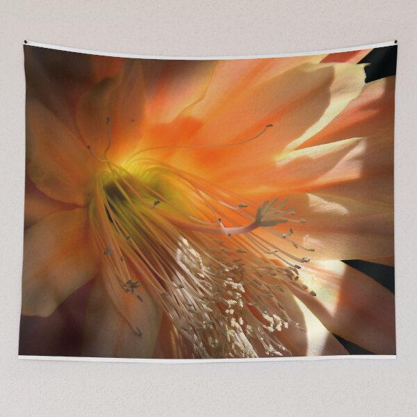 Item preview, Catching A Few Rays designed and sold by Michael May.