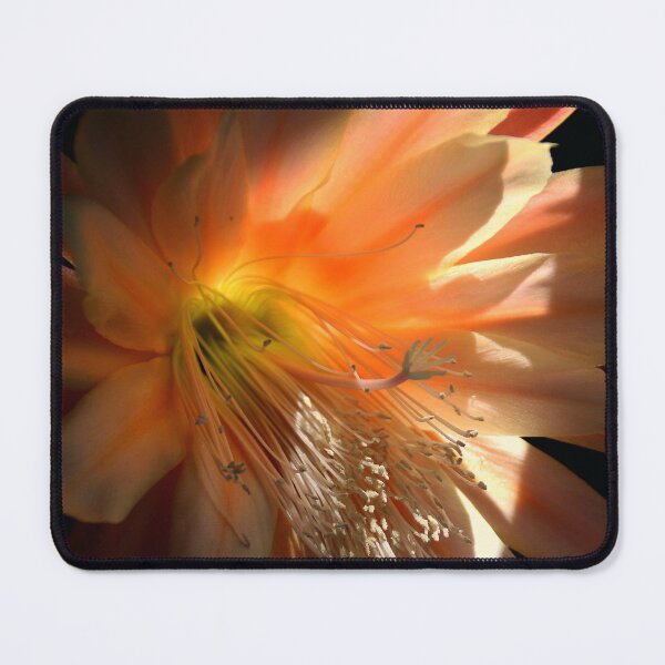 Item preview, Catching A Few Rays designed and sold by Michael May.