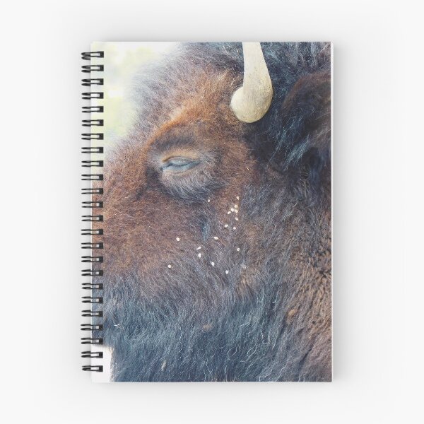 Item preview, My Bison, 4 Closer Still designed and sold by OneEagleRider.