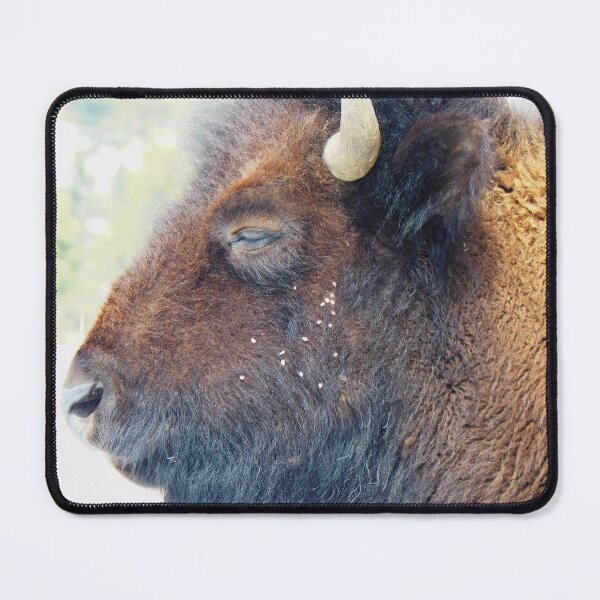 Item preview, My Bison, 4 Closer Still designed and sold by OneEagleRider.