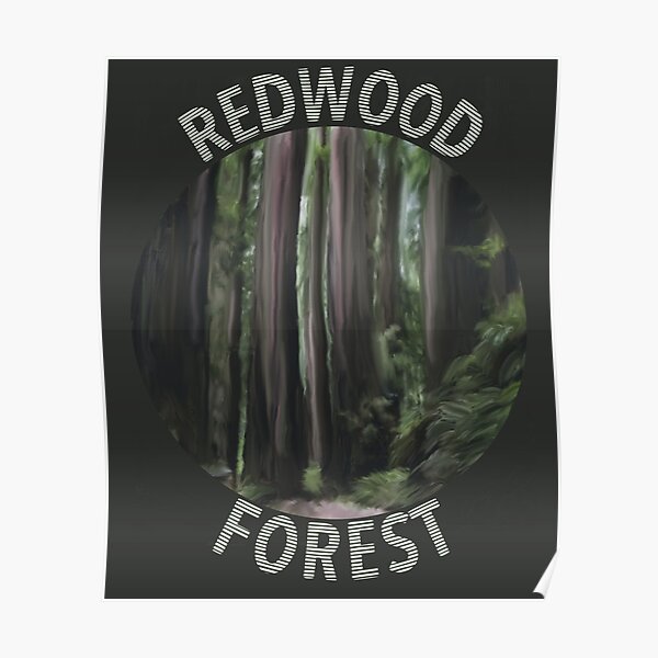 Redwood Forest Painting Poster