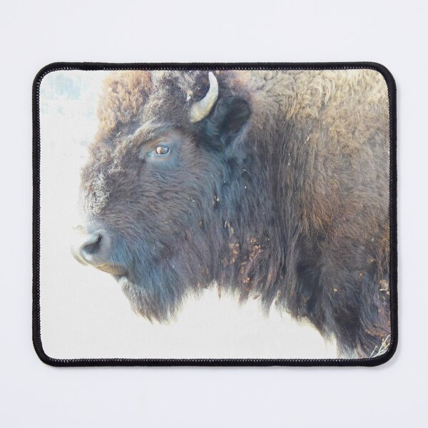 Item preview, My Bison, 5 Chow Time designed and sold by OneEagleRider.