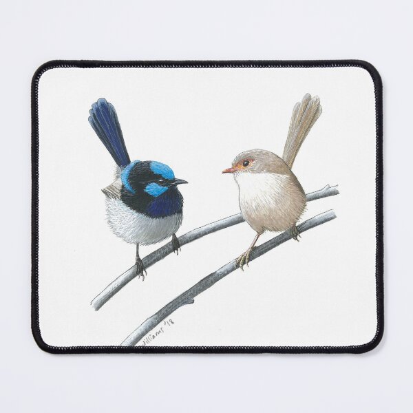 Item preview, Superb Fairy-wrens designed and sold by LouiseApril.